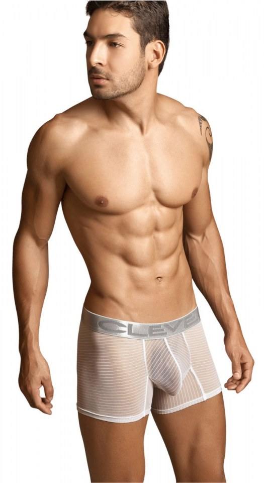 Men s sheer bikini underwear