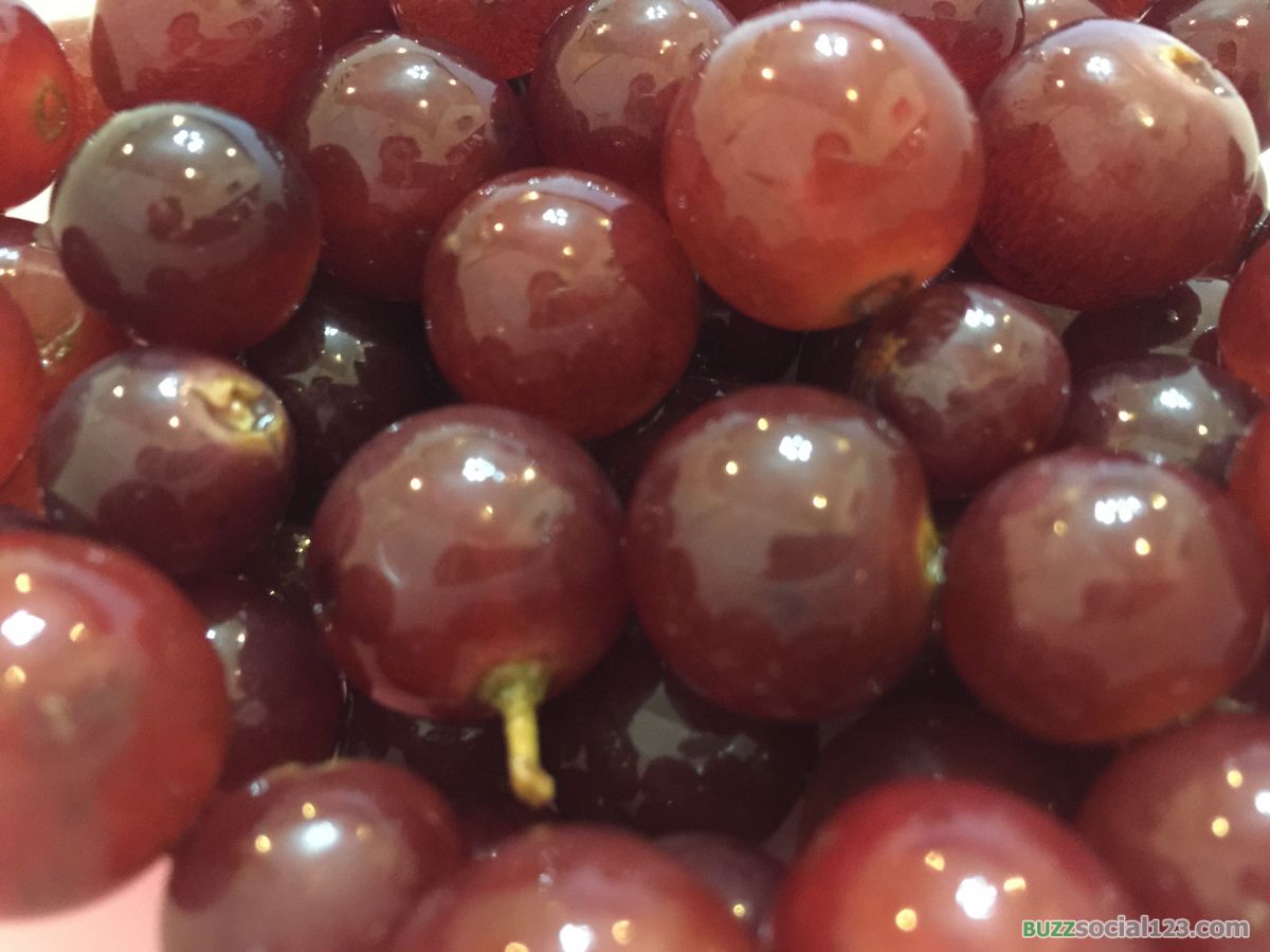 องุ่นแดง