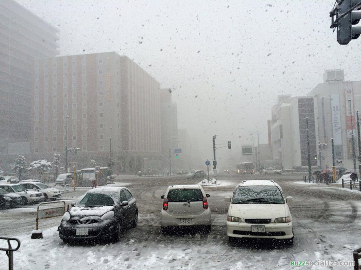 หิมะตก เมืองโอตารุ