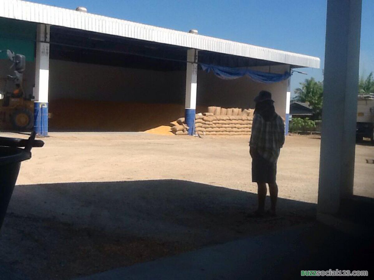 โกดังข้าวโพด