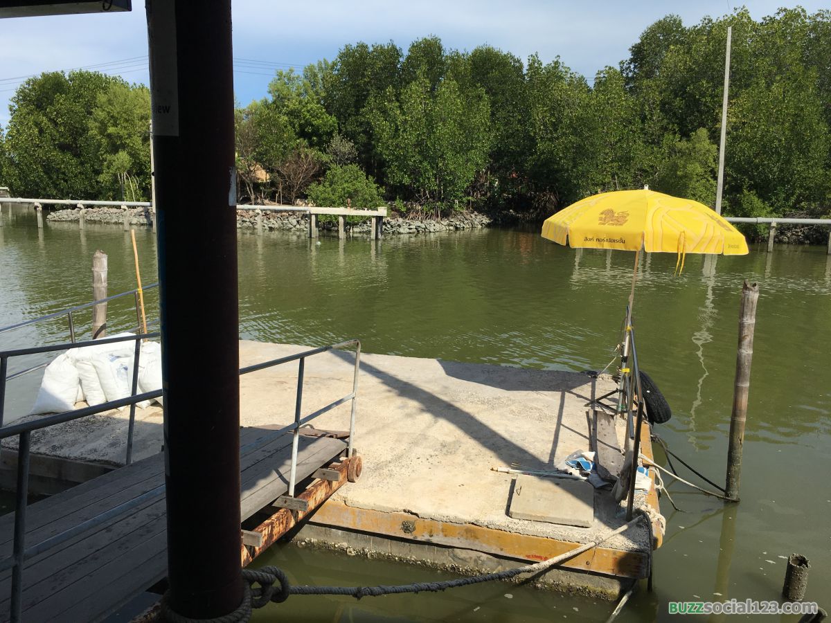 โป๊ะเรือป่าชายเลน