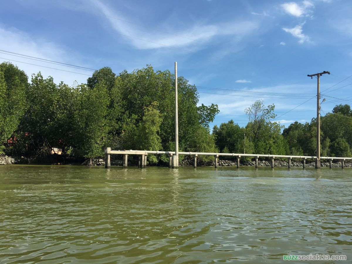 ป่าชายเลน