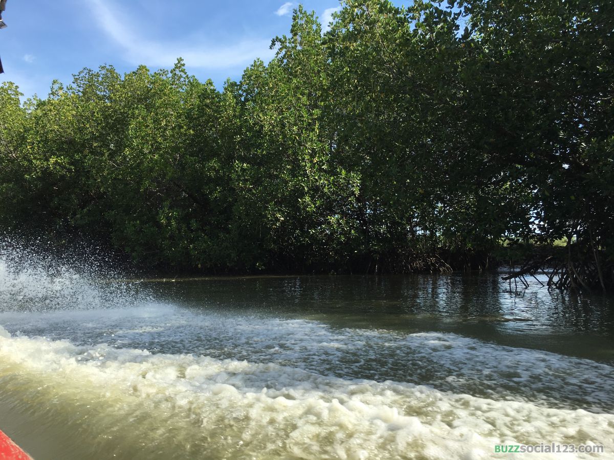 ป่าชายเลน