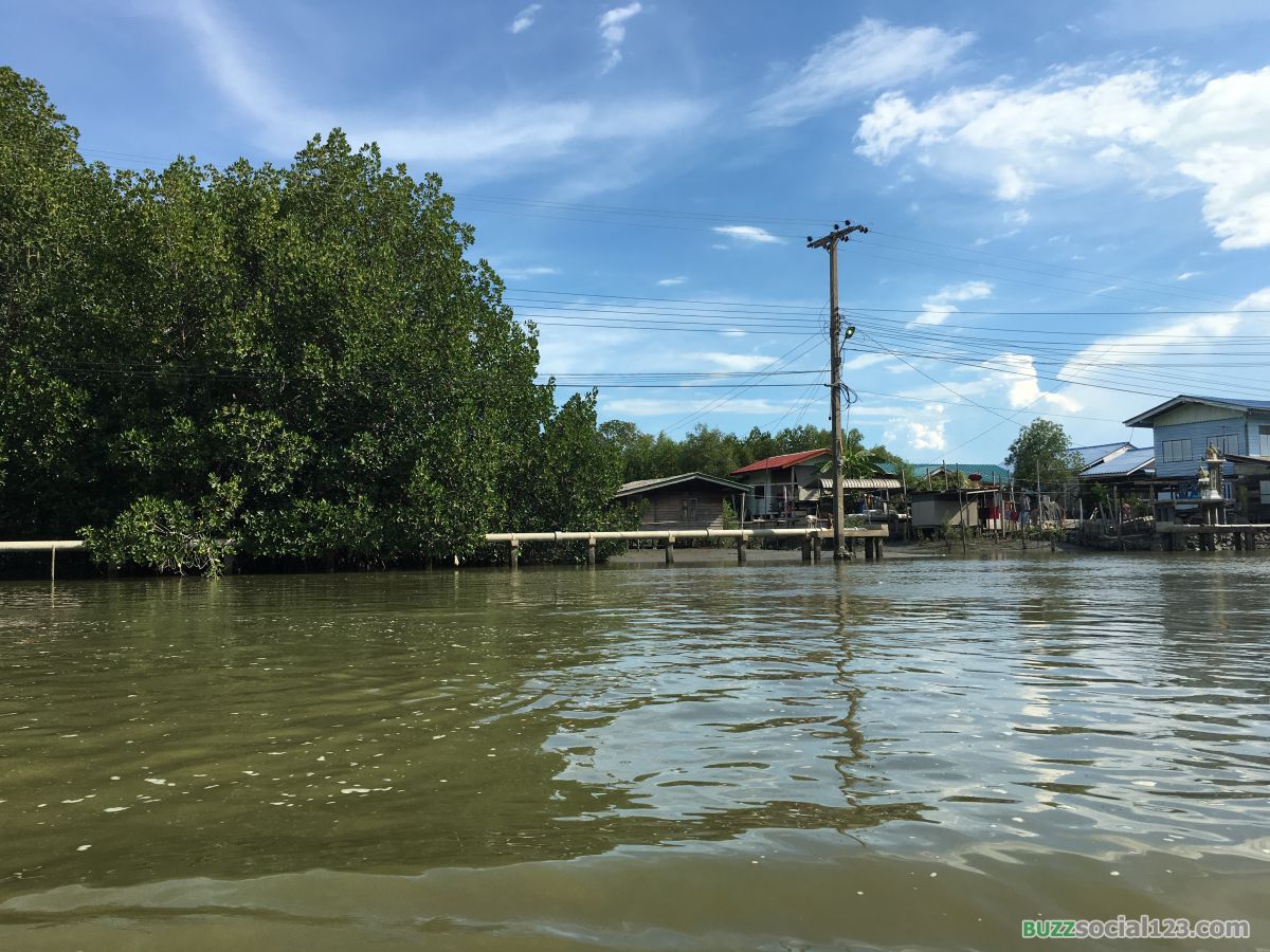 ป่าชายเลน