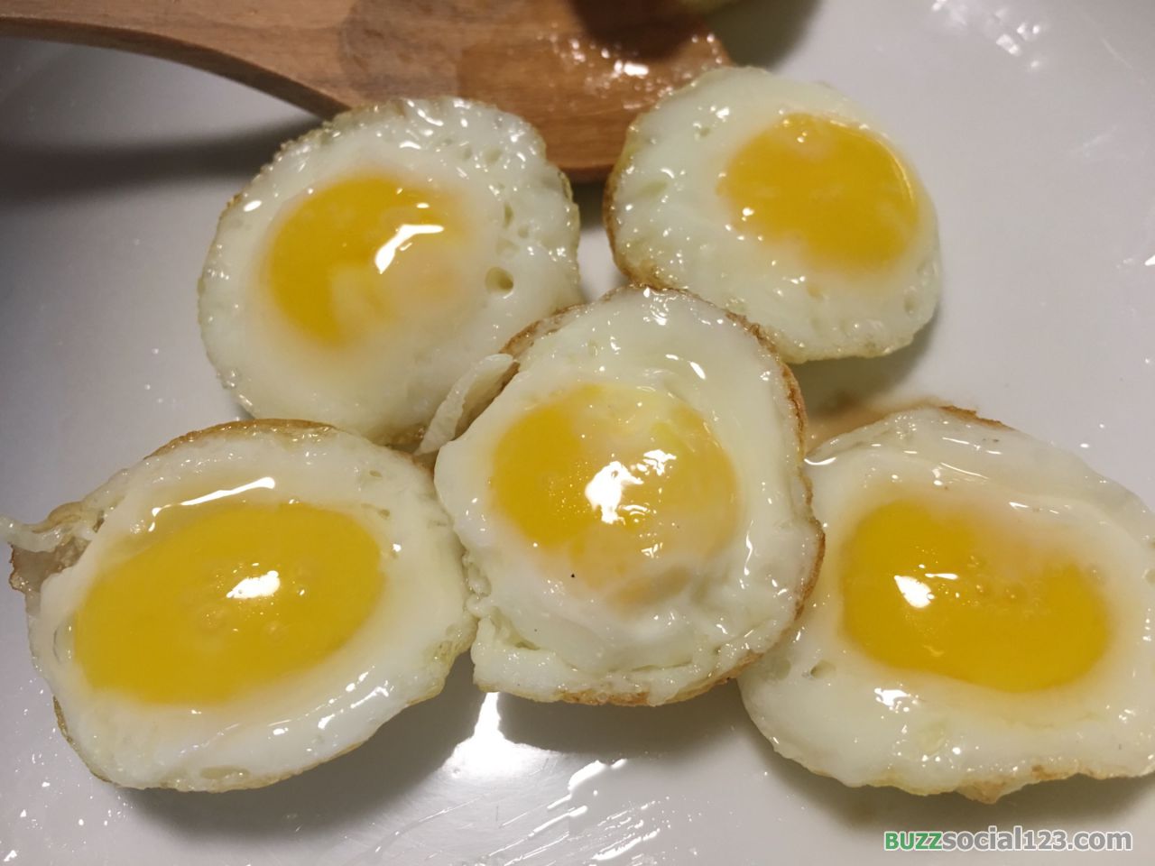 ไข่นกกระทา