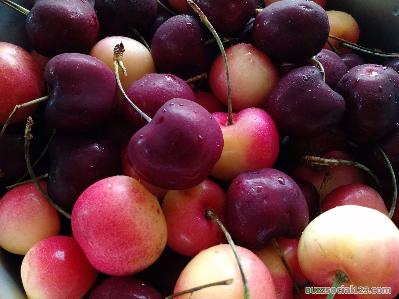 เชอร์รี่