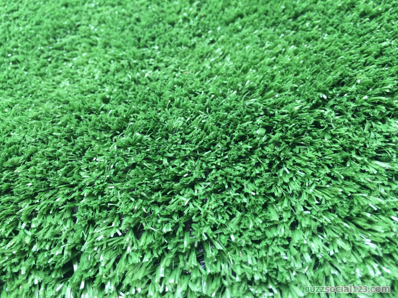 สนามหญ้าเทียม