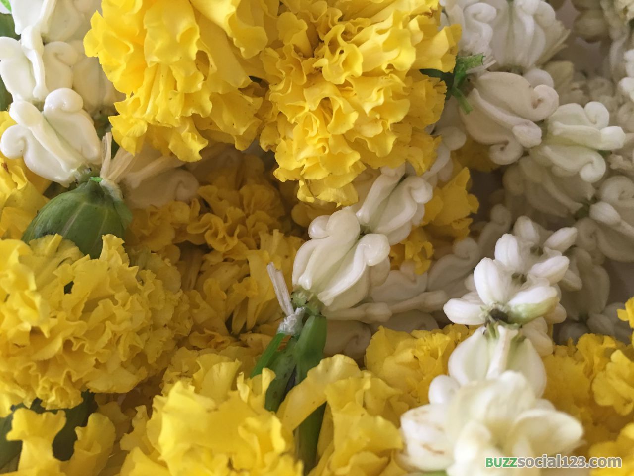 พวงมาลัย