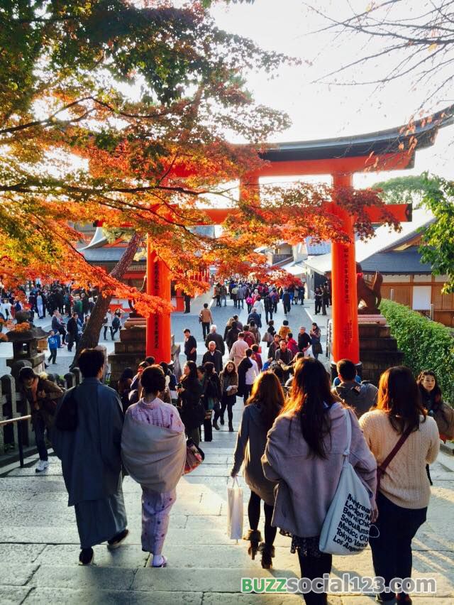 ฟูจิมิ อนาริ