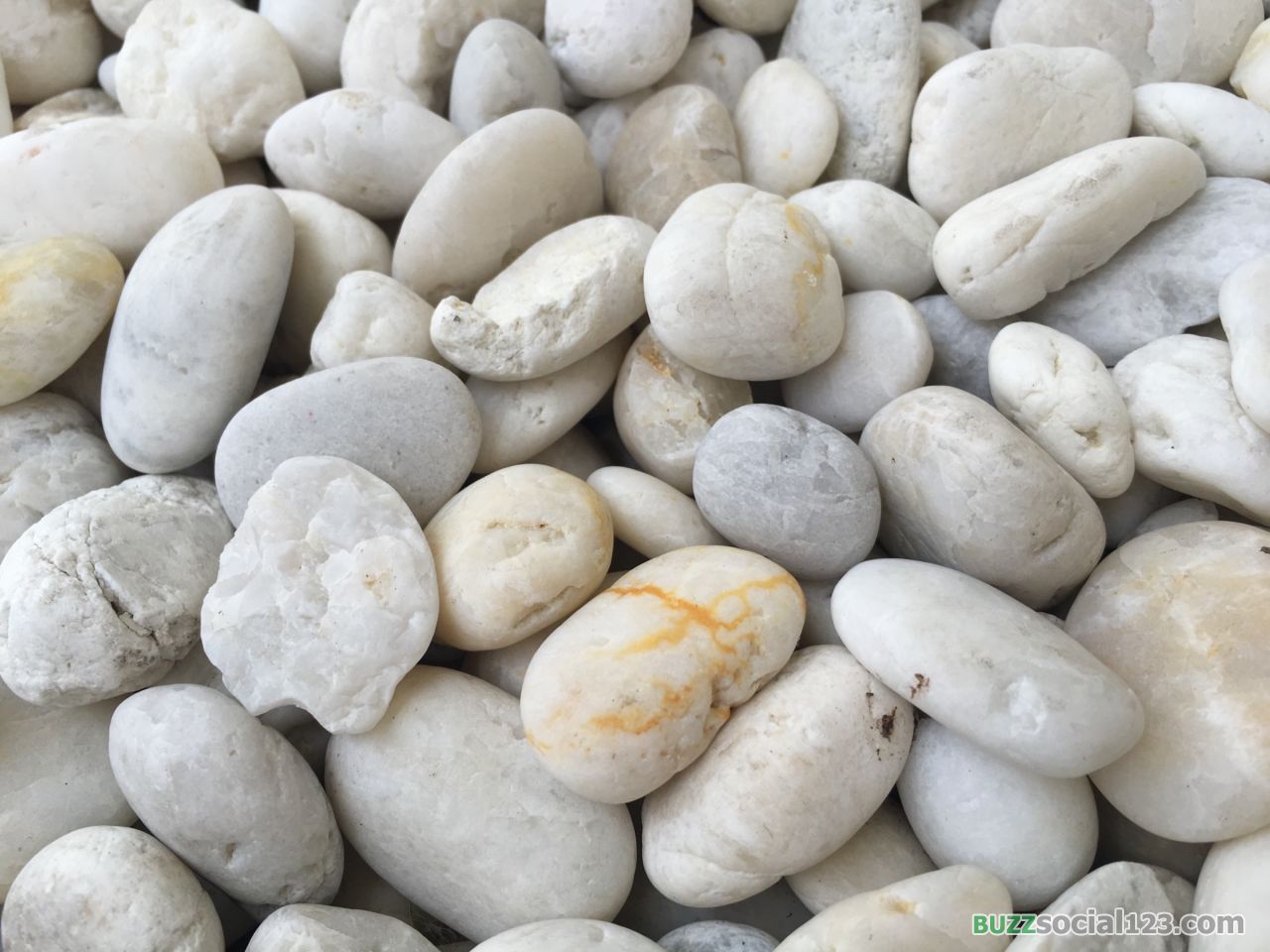 หินสีขาวแต่งสวน