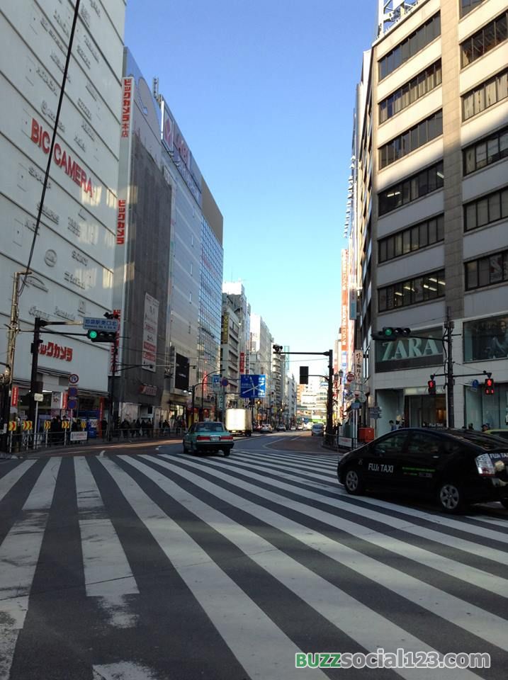 ทางม้าลายญี่ปุ่น