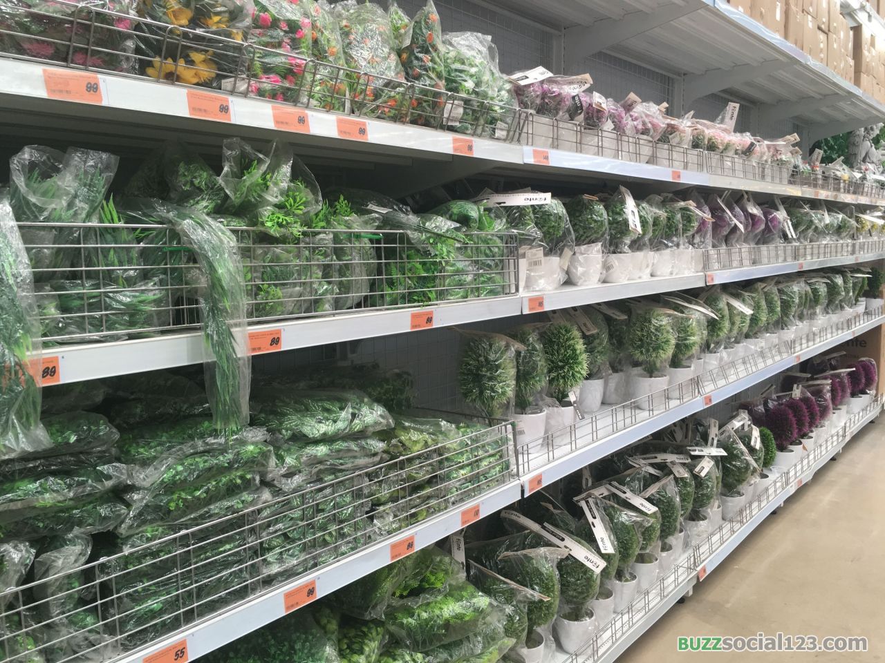 วัสดุก่อสร้าง ของแต่งบ้าน