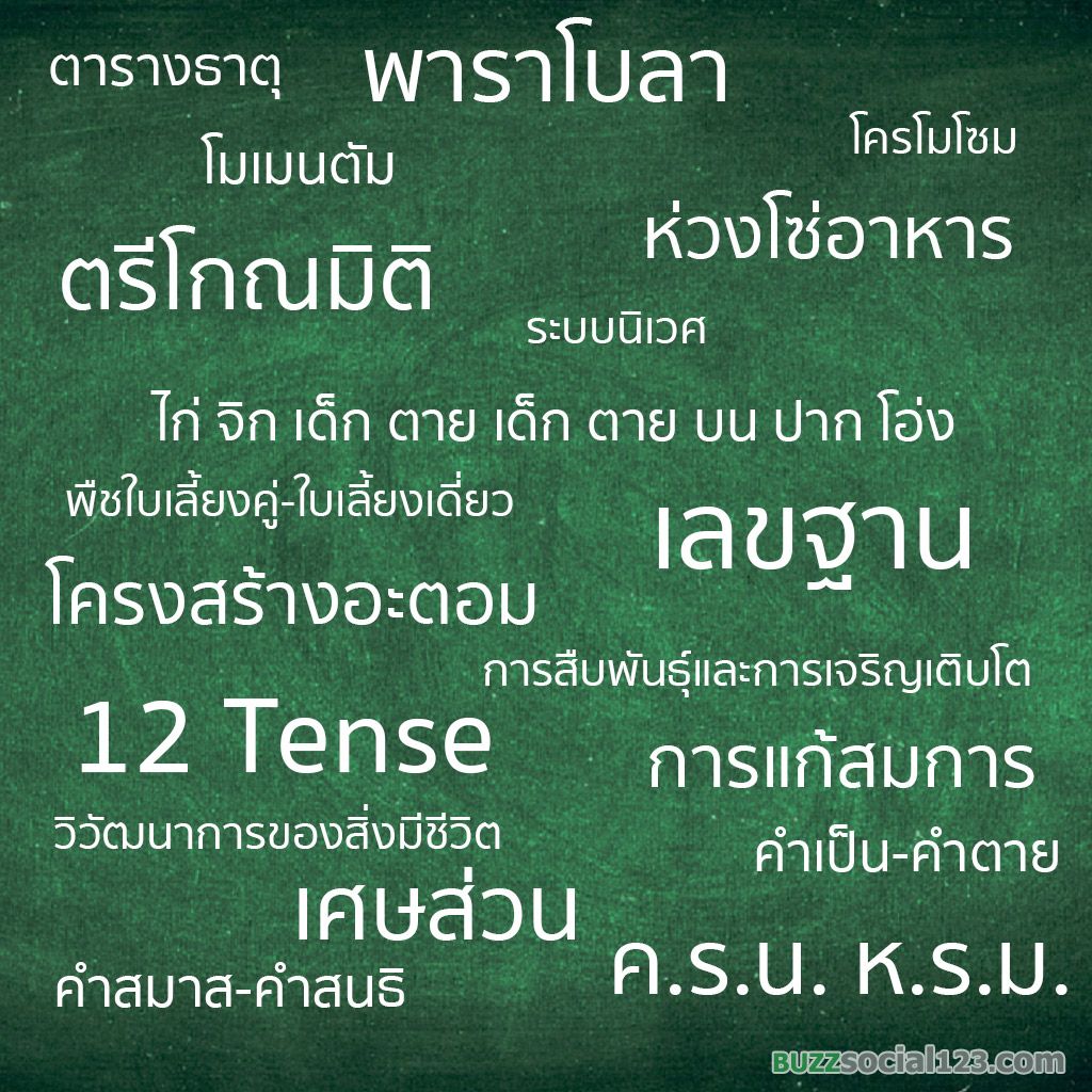 วิชาต่างๆ