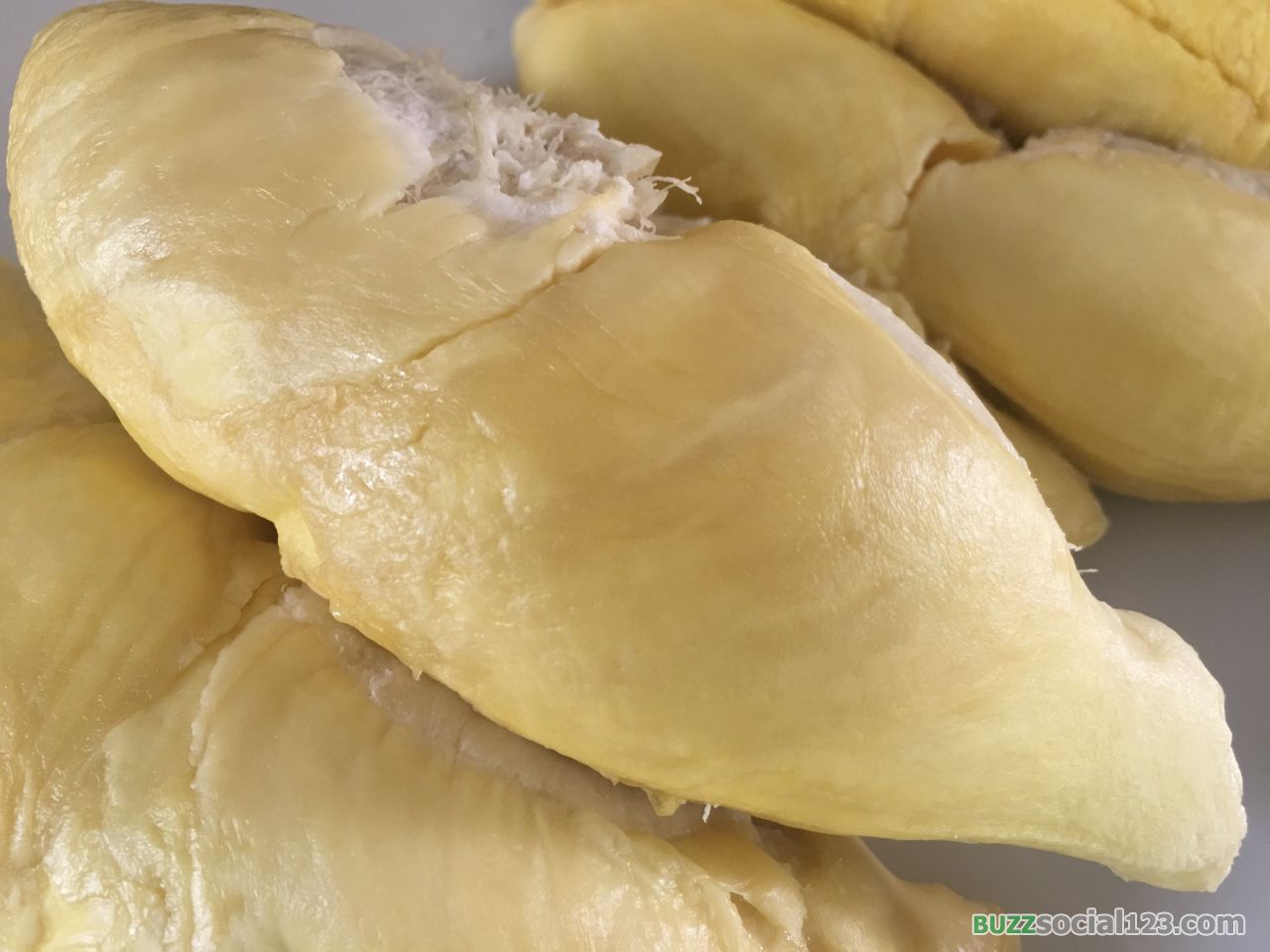 ทุเรียน