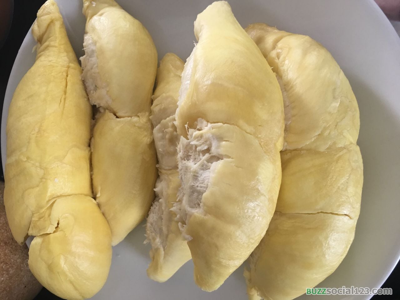 ทุเรียน