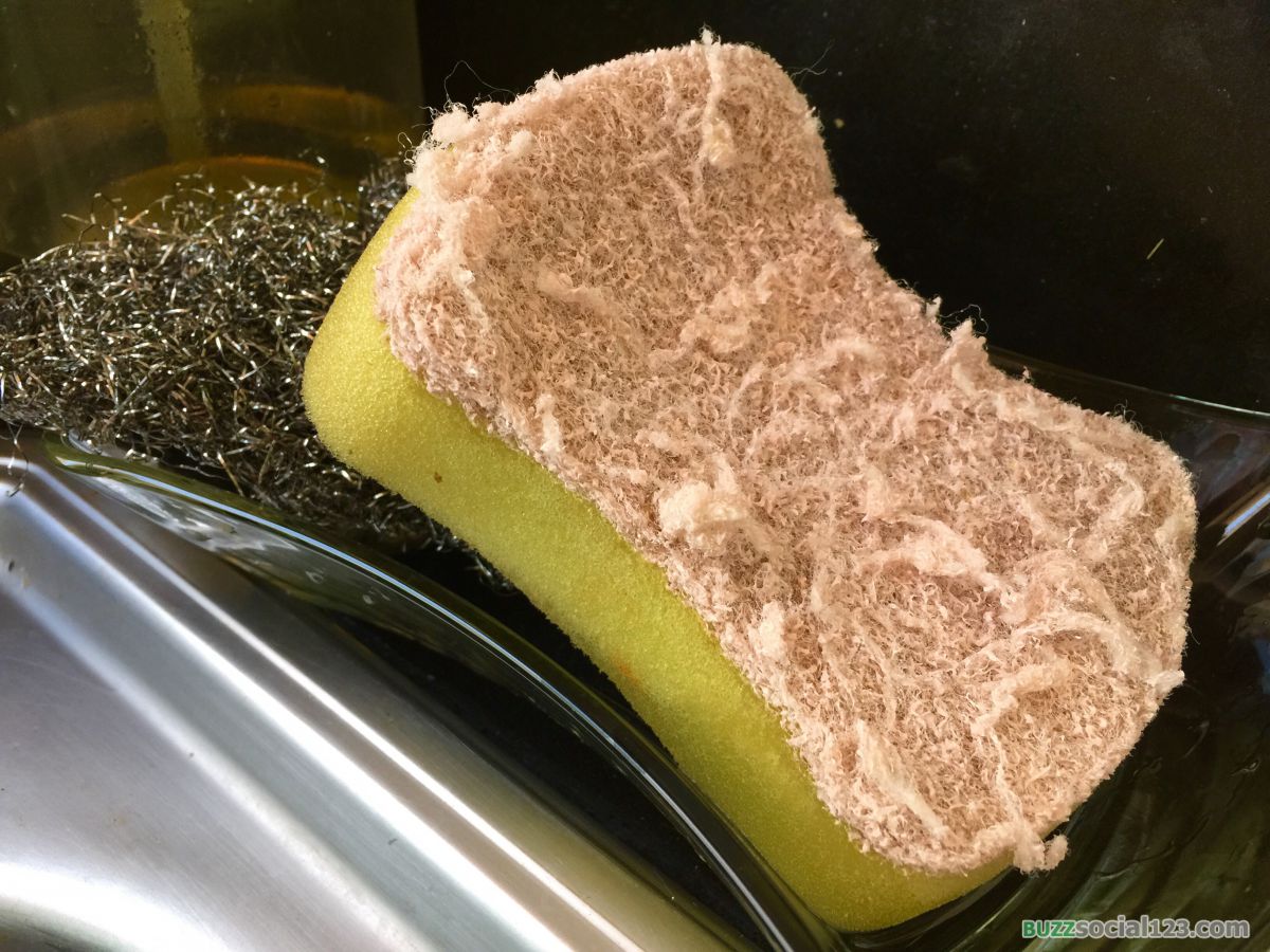 ฟองน้ำล้างจาน