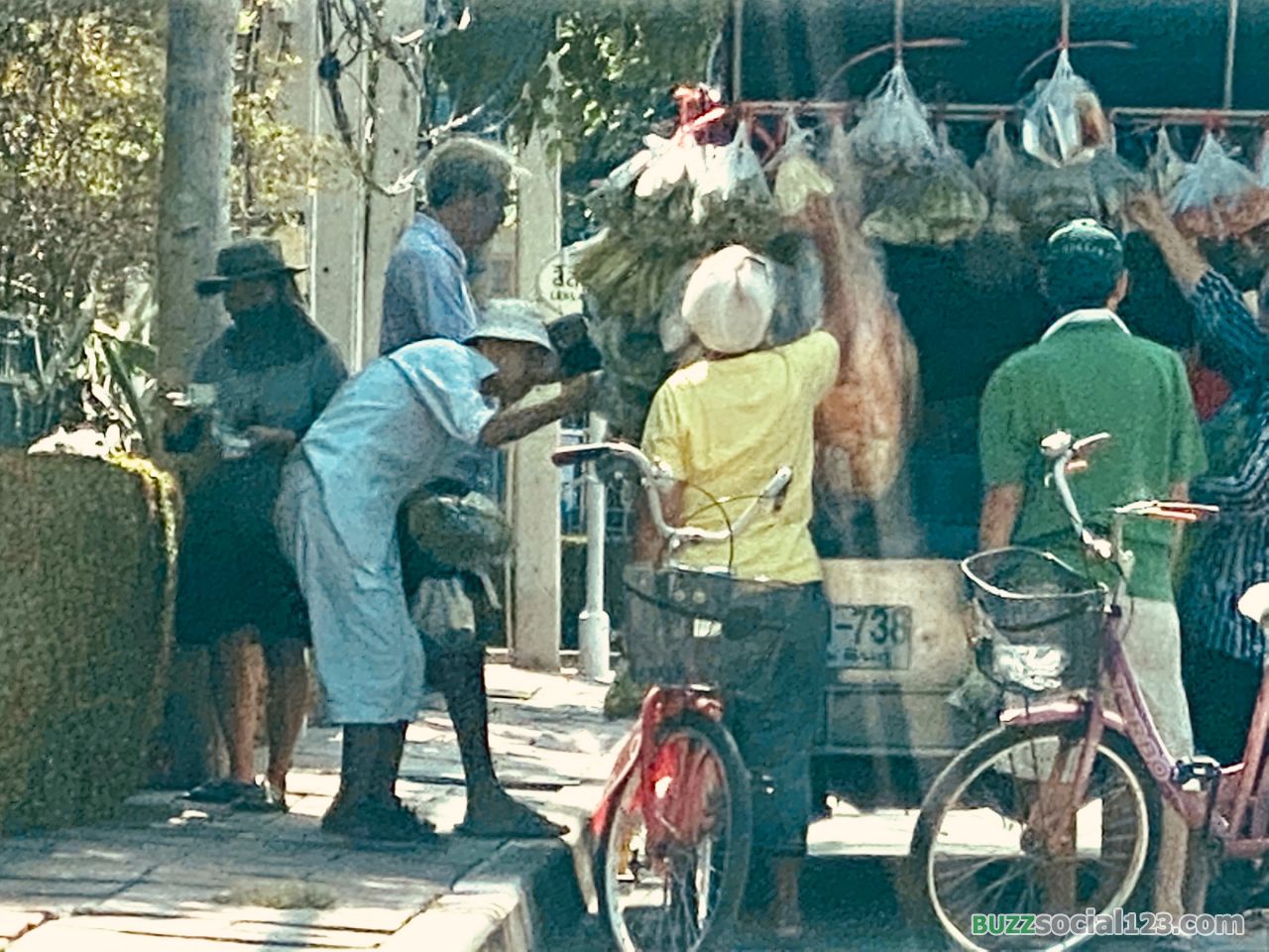 รถพุ่มพวง