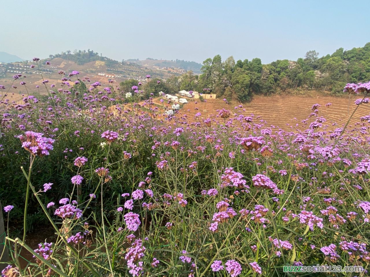 ม่อนแจ่ม