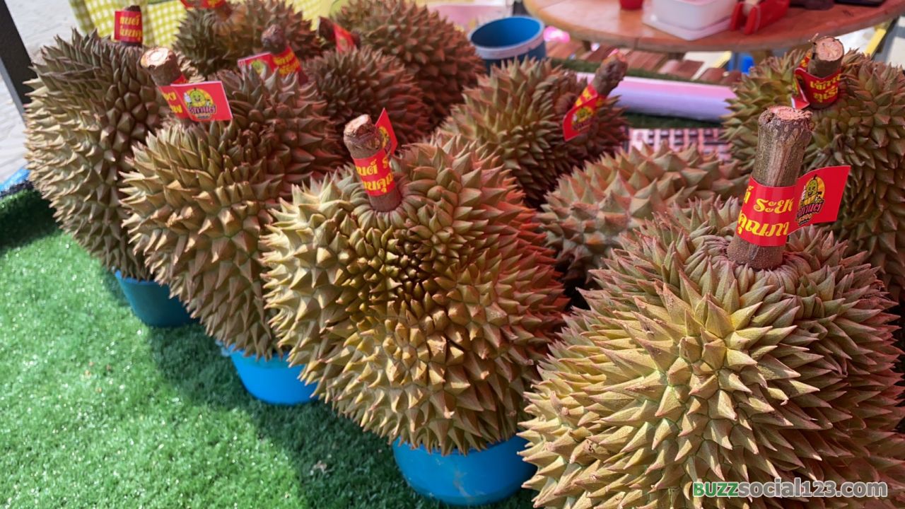 ทุเรียน