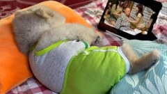 ภาพฮาๆ ขำขำ ตอนเที่ยง