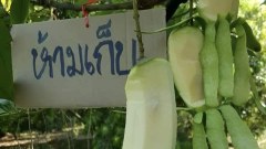 ขำขันๆ ครายเครียดๆ หน้าร้อนๆๆ😂