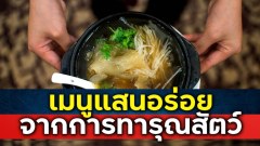 เมนูแสนอร่อยราคาแพงที่ได้มาจากการทารุณและทรมานสัตว์
