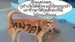 ขำๆคลายเครียดๆหลังเลือกตั้ง!!😜🤣