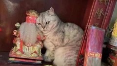 รวมภาพฮา ๆ คลายเครียด