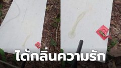 โซเชียลแห่แชร์ภาพ "เศษความรัก ยังหลงเหลืออยู่" หลังมีคู่รักพากันมาบรรเลงเพลงรักในป่า ชาวเน็ตลั่นนี่มัน "กระดานหรรษา"