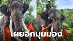 อดีตเจ้าของ "พลายศักดิ์สุรินทร์" เผยอีกมุมมอง บอก ช้างไม่ได้ถูกทรมานและพระที่ศรีลังกาต่างก็เมตตาช้างมาก