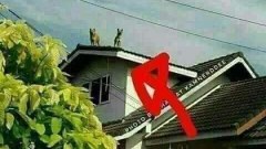 ตลกๆขำๆเด้อ!!