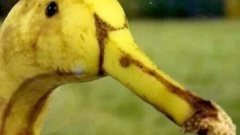 ขำๆ!!