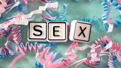 5 ข้อดีของการมี sex
