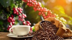 รองเลขา อย. จ่อเรียกผู้ผลิต "กาแฟกลิ่นสังคัง" ชี้หากผิดโทษปรับ 5,000 บาท เตรียมสอบโรงงานผลิต