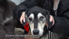 คดีปริศนา ‘นอนละเมอ’ ของเกาหลีที่น่ากลัว