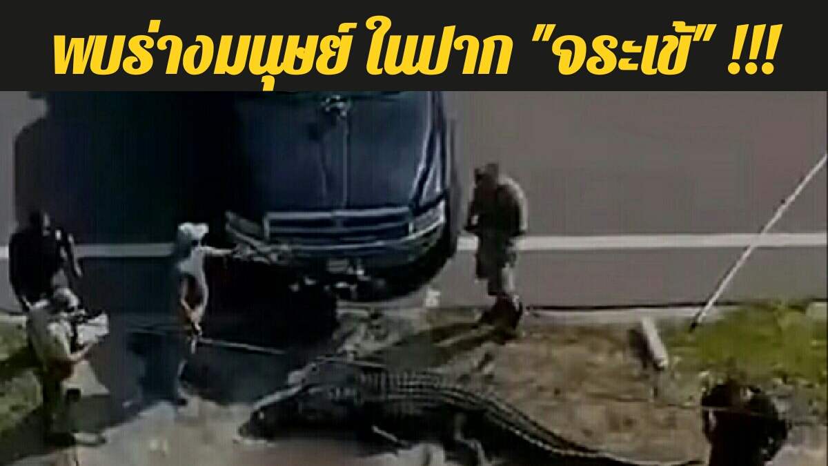 horrifying-moment-14-foot-long-alligator-caught-dragging-human-corpse