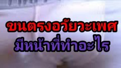 ขนที่ขึ้นตรงอวัยวะเพศ มีประโยชน์อย่างไร