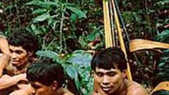วัฒนธรรม Endocannibalism ของชนเผ่า Yanomami