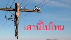 ตลกโปกขำ!!