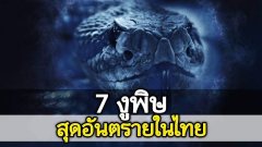 7 งูพิษสุดอันตรายในประเทศไทย