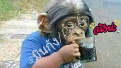 ตลกมาก ขำจังเลย 555