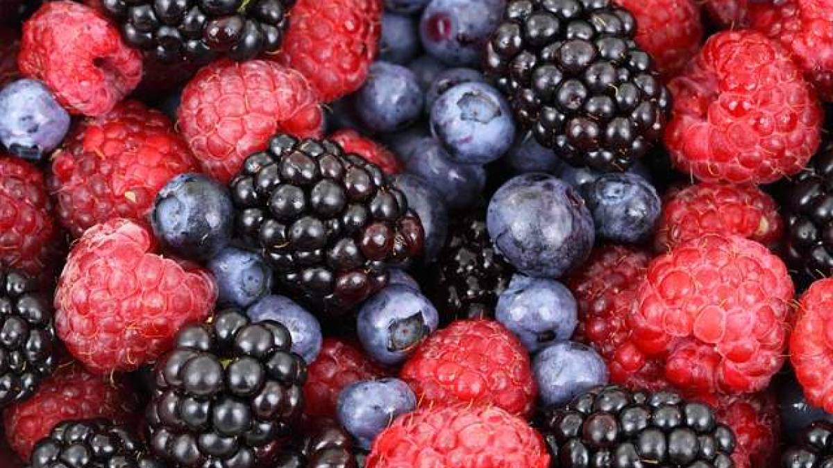 The Top 5 Fruits for Nourishing Eyesight: Oranges, Blueberries, Carrots, Kiwi, and Spinach