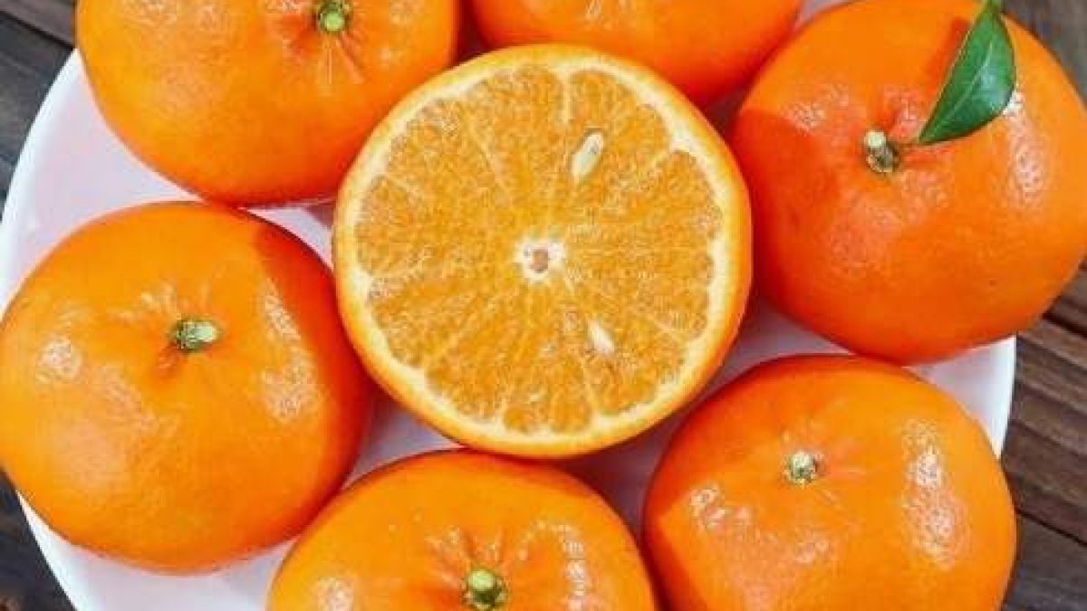 Health Benefits of Oranges: From Nutrition to Medicinal Properties