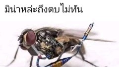 ภาพฮาๆ ทะลึ่งนิดๆ ตลกๆEP.5