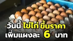 แพงต่อเนื่อง! วันนี้ไข่ไก่ขึ้นราคาเพิ่มอีกแผงละ 6 บาท ไข่เบอร์ 0 ขายปลีก ฟองละ 5 บาท
