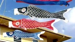 ทำไมบ้านคนญี่ปุ่นแขวนธงปลาคาร์ฟ