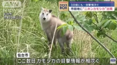 ชาวบ้านพบสัตว์แปลกในญี่ปุ่น