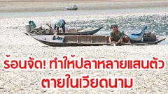ร้อนจัด! ทำให้ปลาหลายแสนตัวตายในเวียดนาม