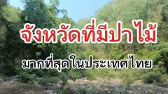 "จังหวัดที่มีป่าไม้"มากที่สุดในประเทศไทย