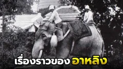 เรื่องราวของอาหลิง และความน่าสนใจของประเทศไทย